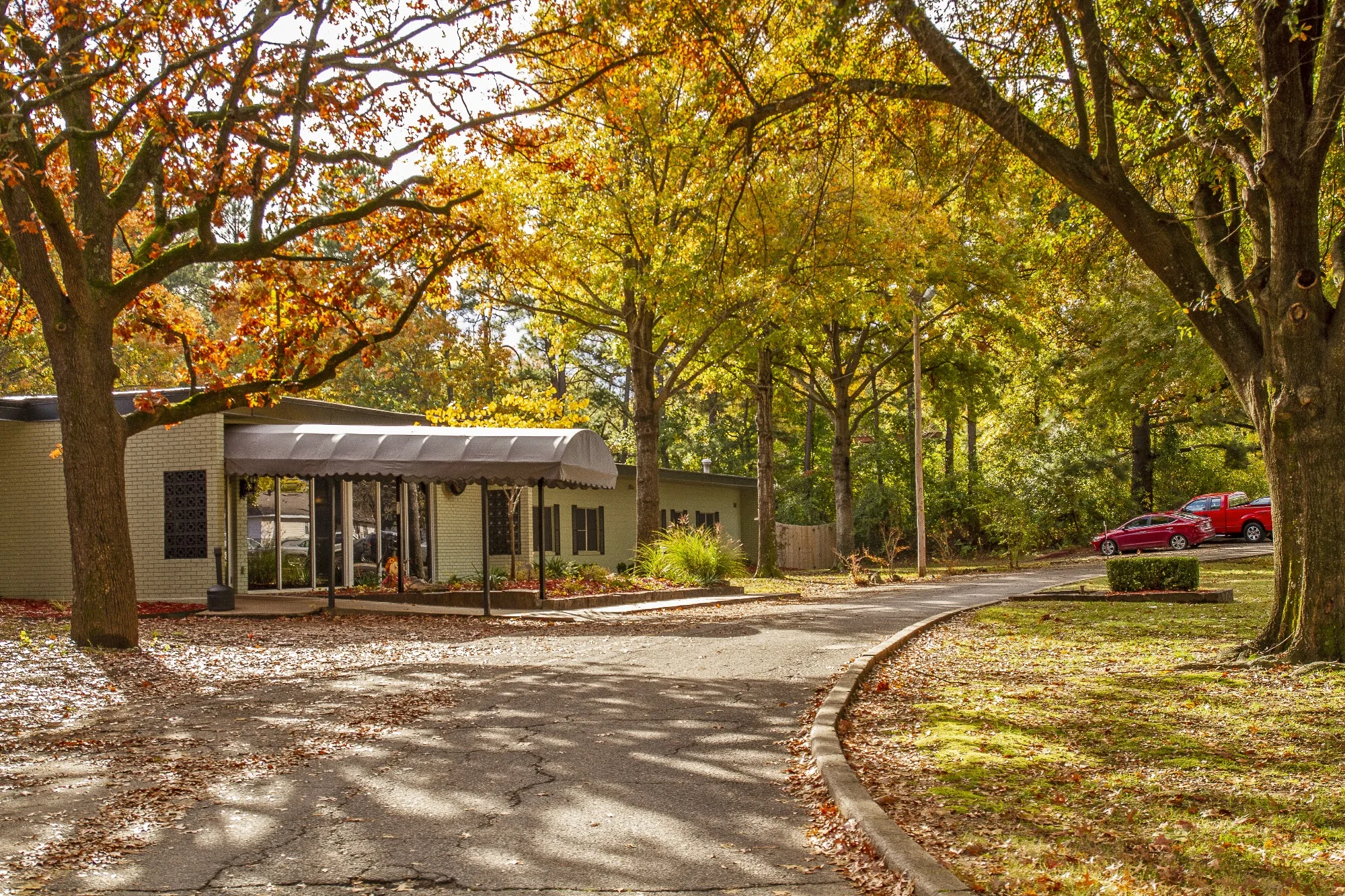 THE BLOSSOMS AT FORT SMITH REHAB & NURSING CENTER
