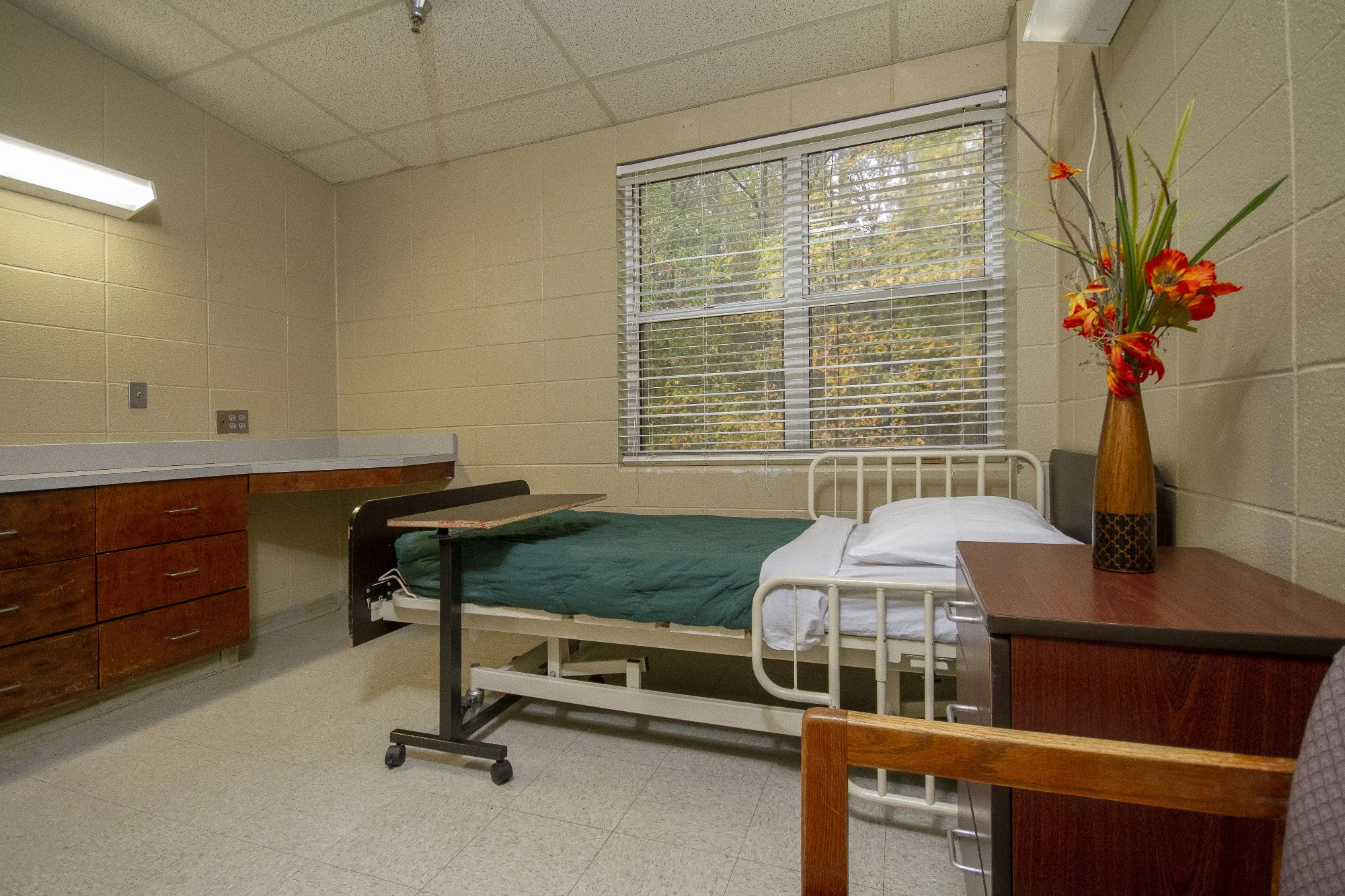 THE BLOSSOMS AT WEST DIXON REHAB & NURSING CENTER