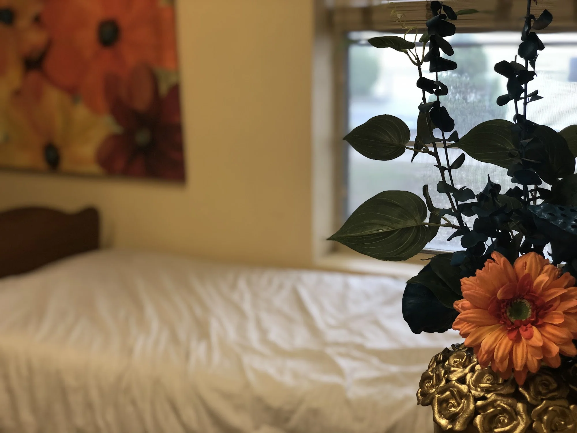 THE BLOSSOMS AT WHITE RIVER REHAB & NURSING CENTER