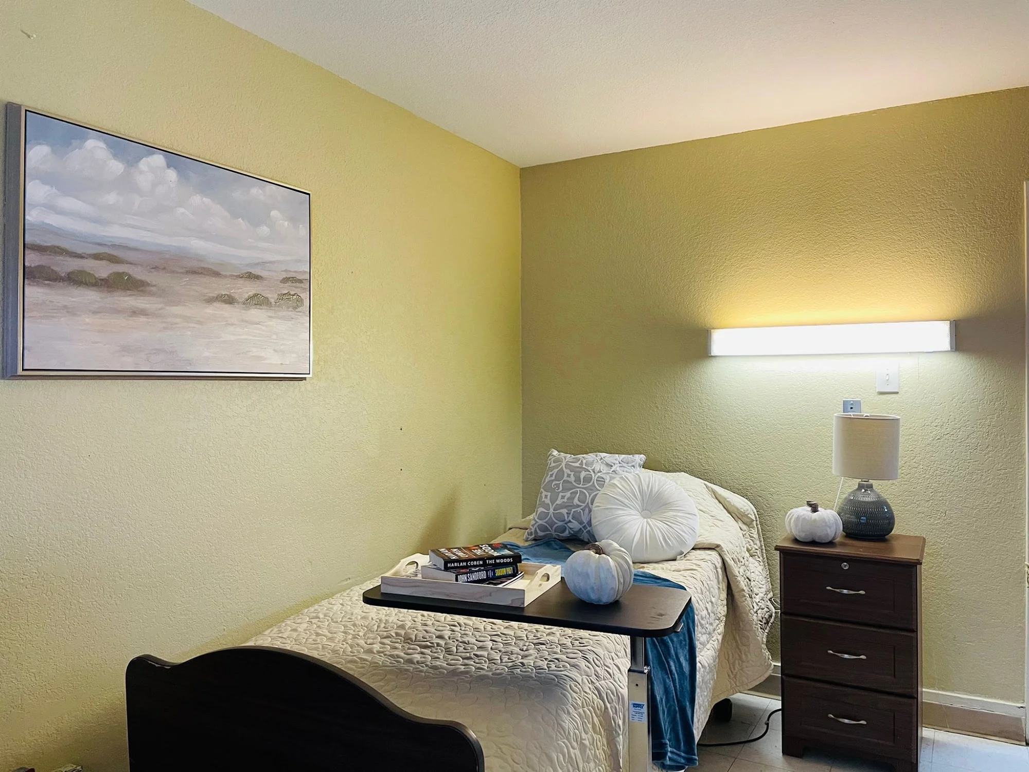 THE BLUFFS REHABILITATION AND HEALTHCARE CENTER