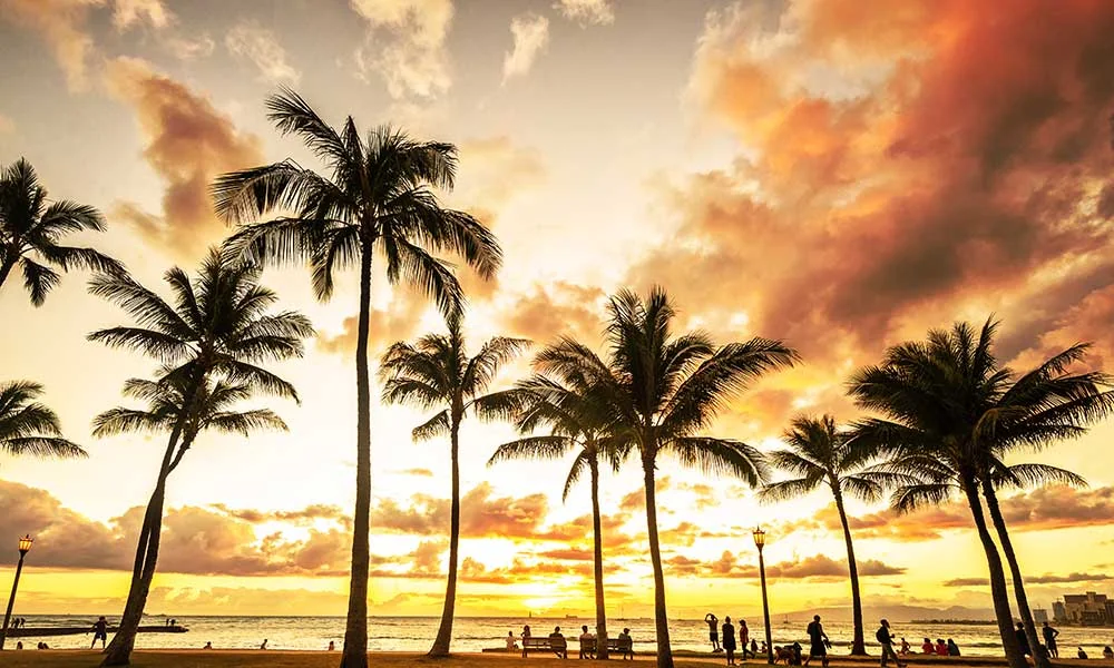 THE CARE CENTER OF HONOLULU