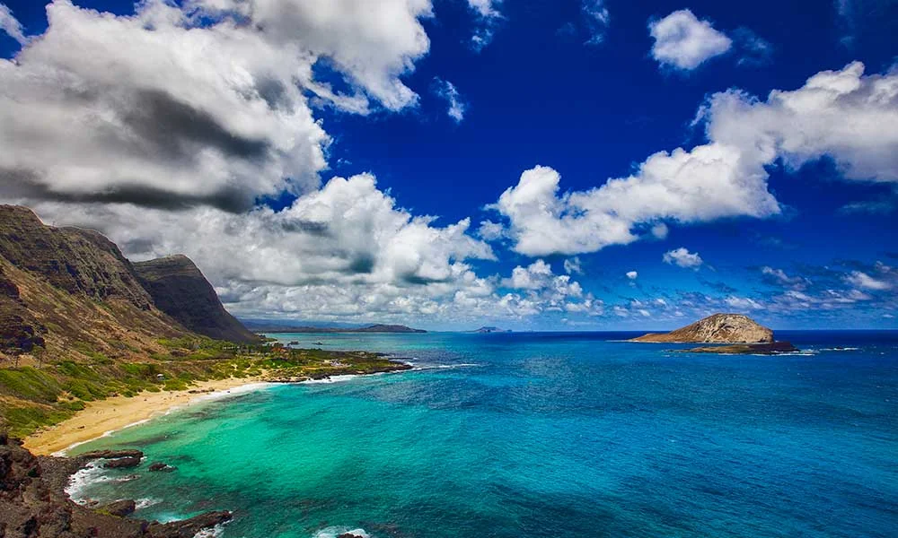THE CARE CENTER OF HONOLULU