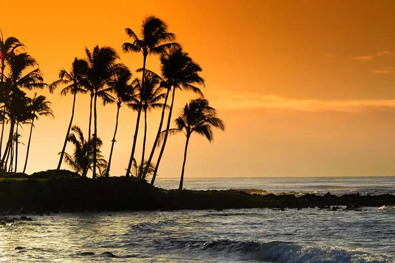 THE CARE CENTER OF HONOLULU