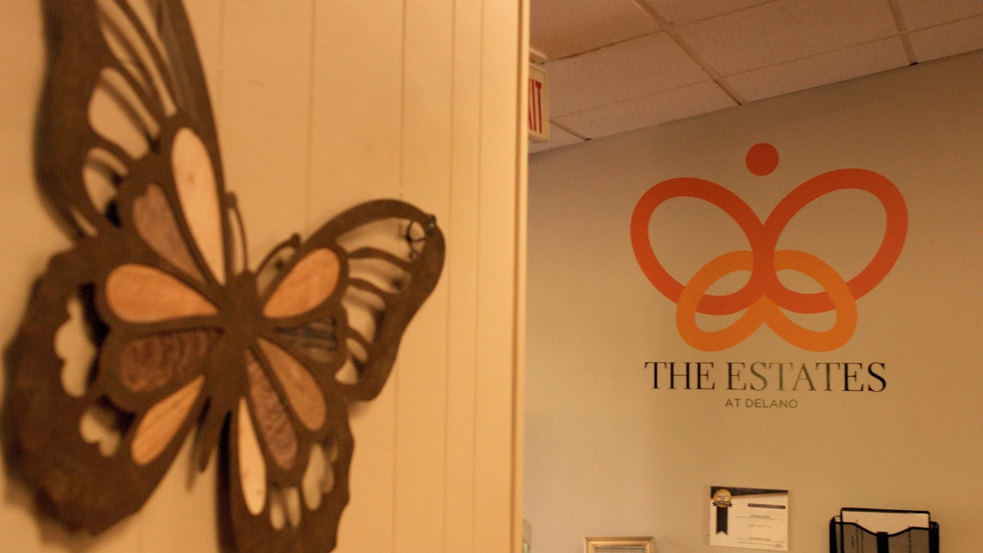 THE ESTATES AT DELANO LLC