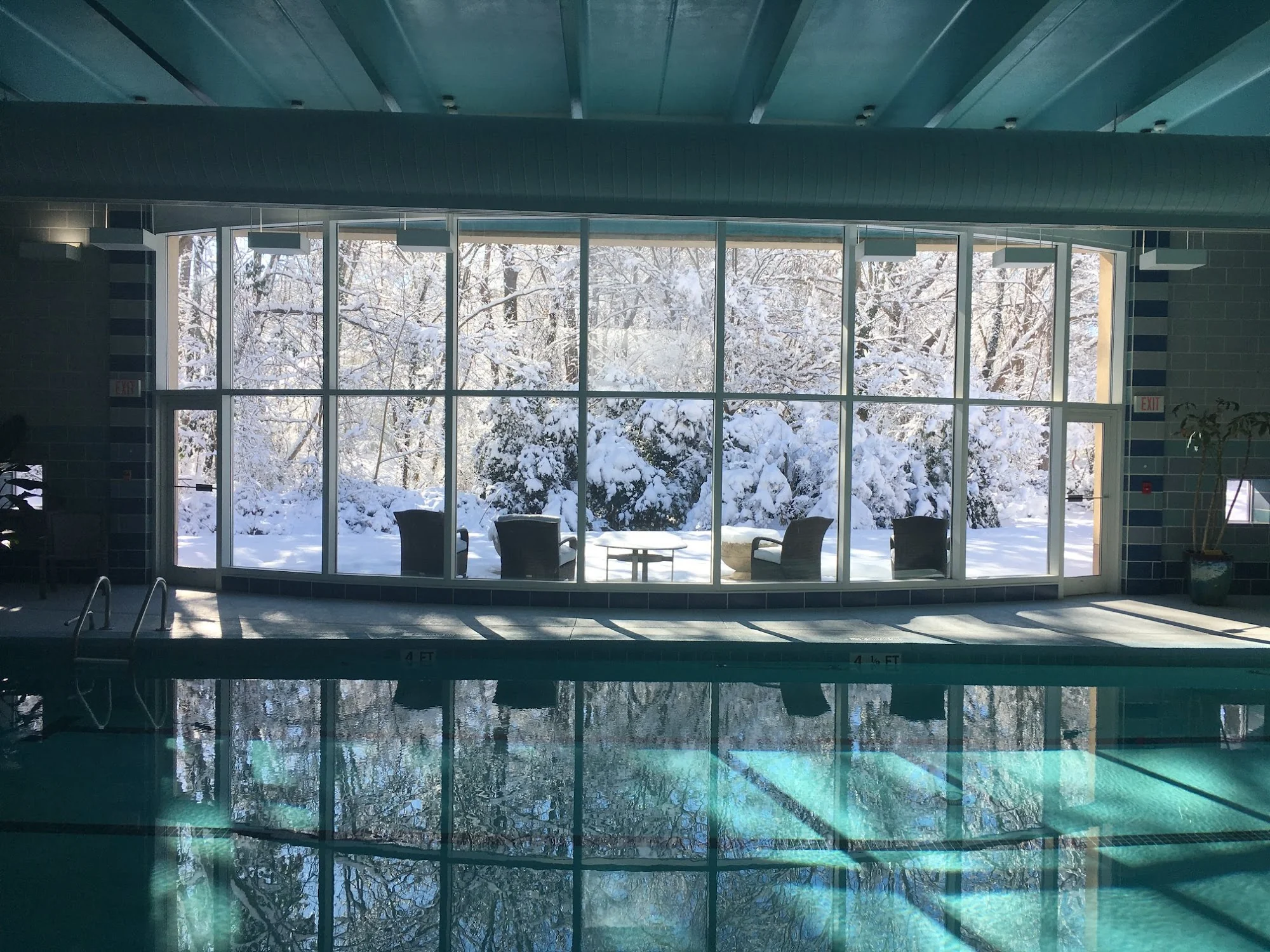 THE FOREST AT DUKE INC