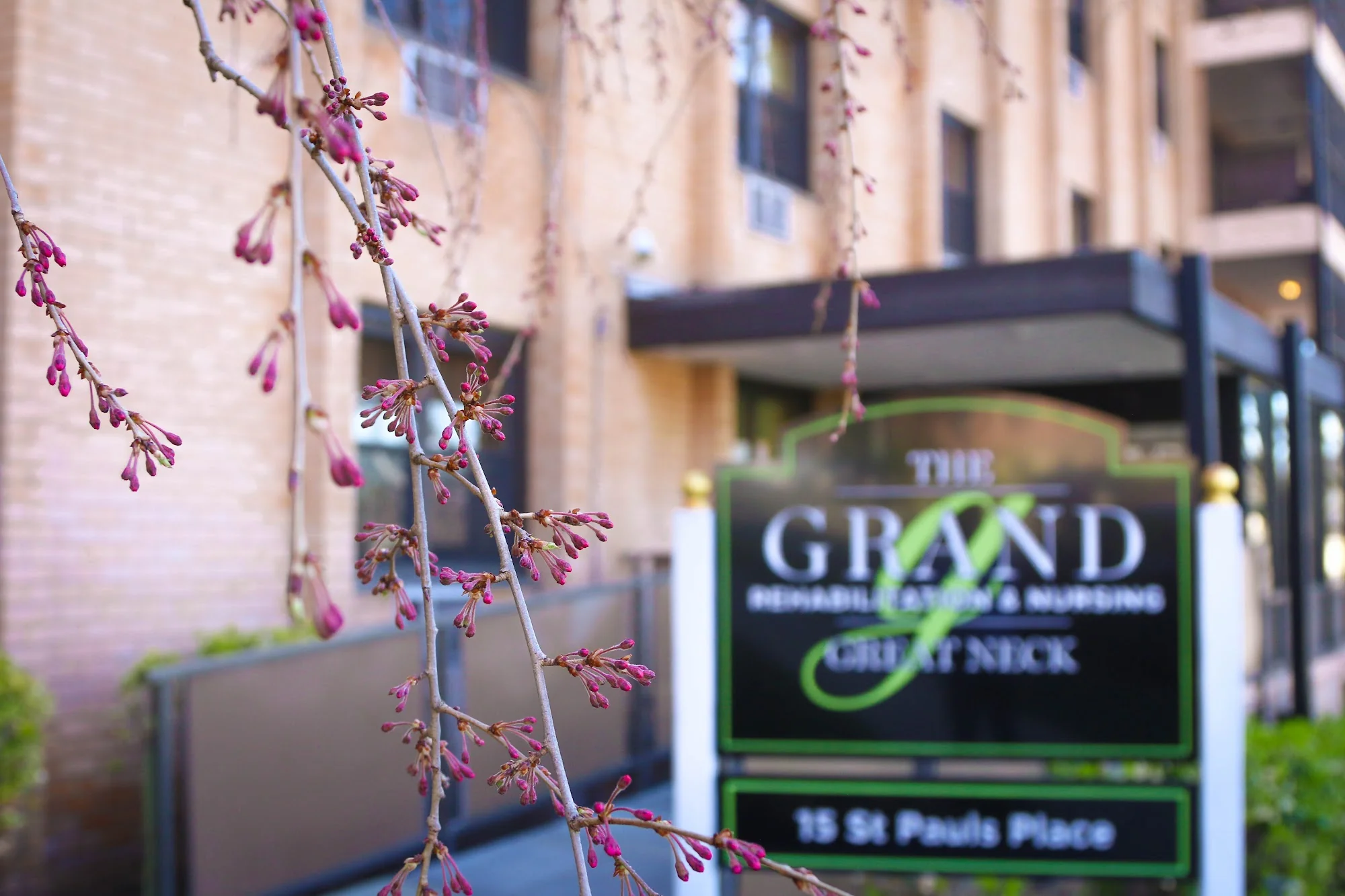 THE GRAND REHABILITATION AND NURSING AT GREAT NECK