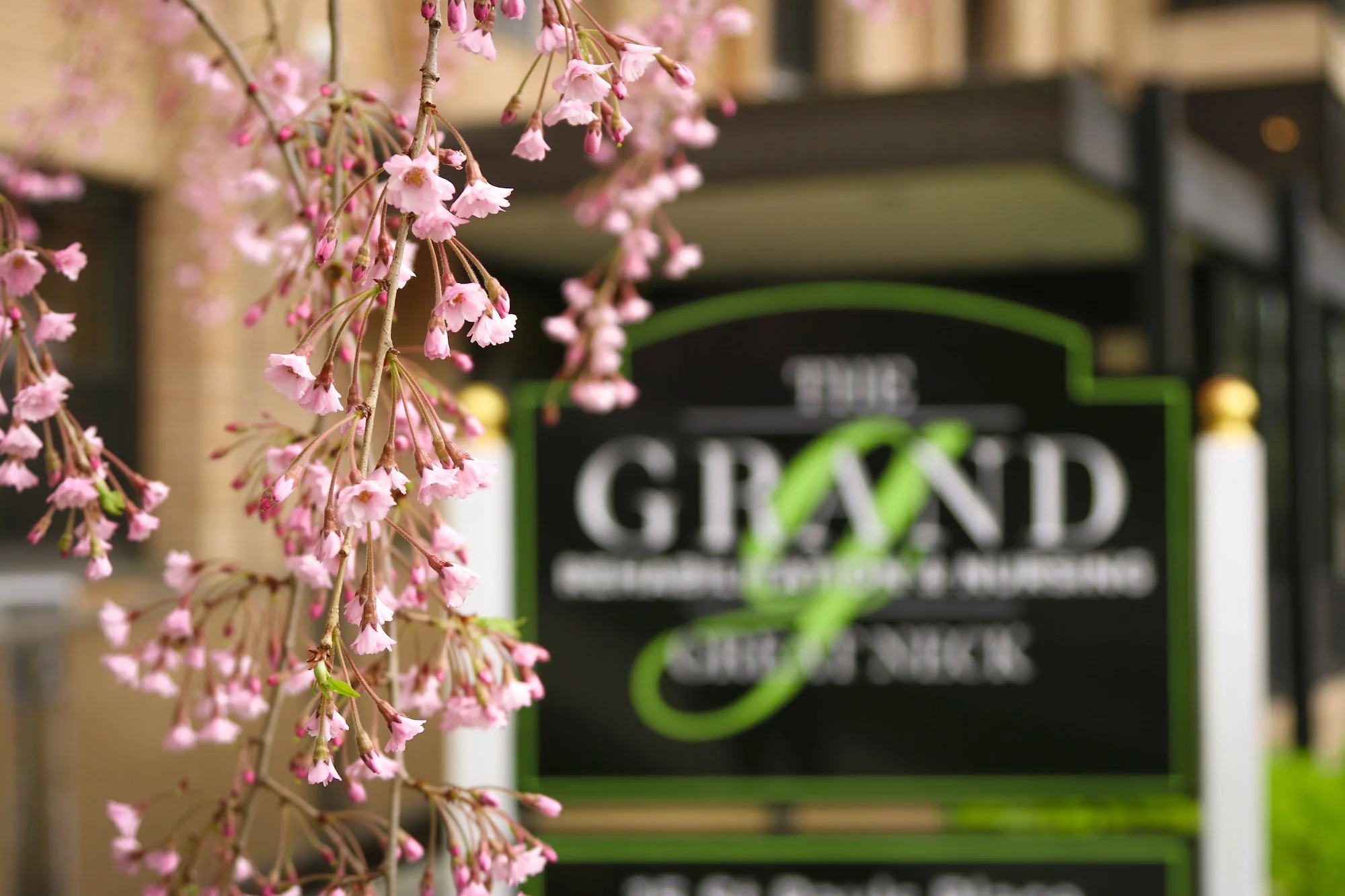 THE GRAND REHABILITATION AND NURSING AT GREAT NECK