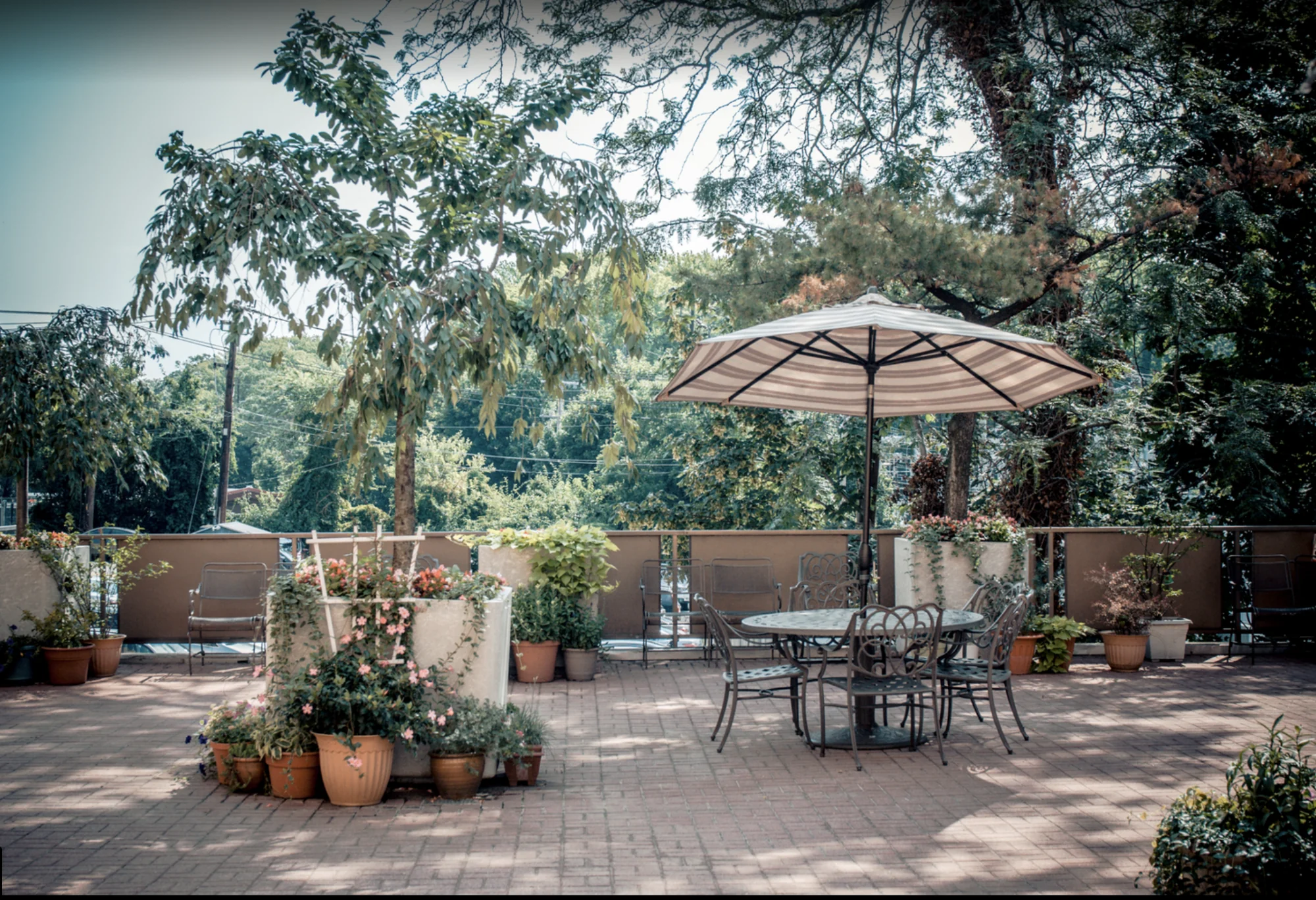 THE GRAND REHABILITATION AND NURSING AT GREAT NECK