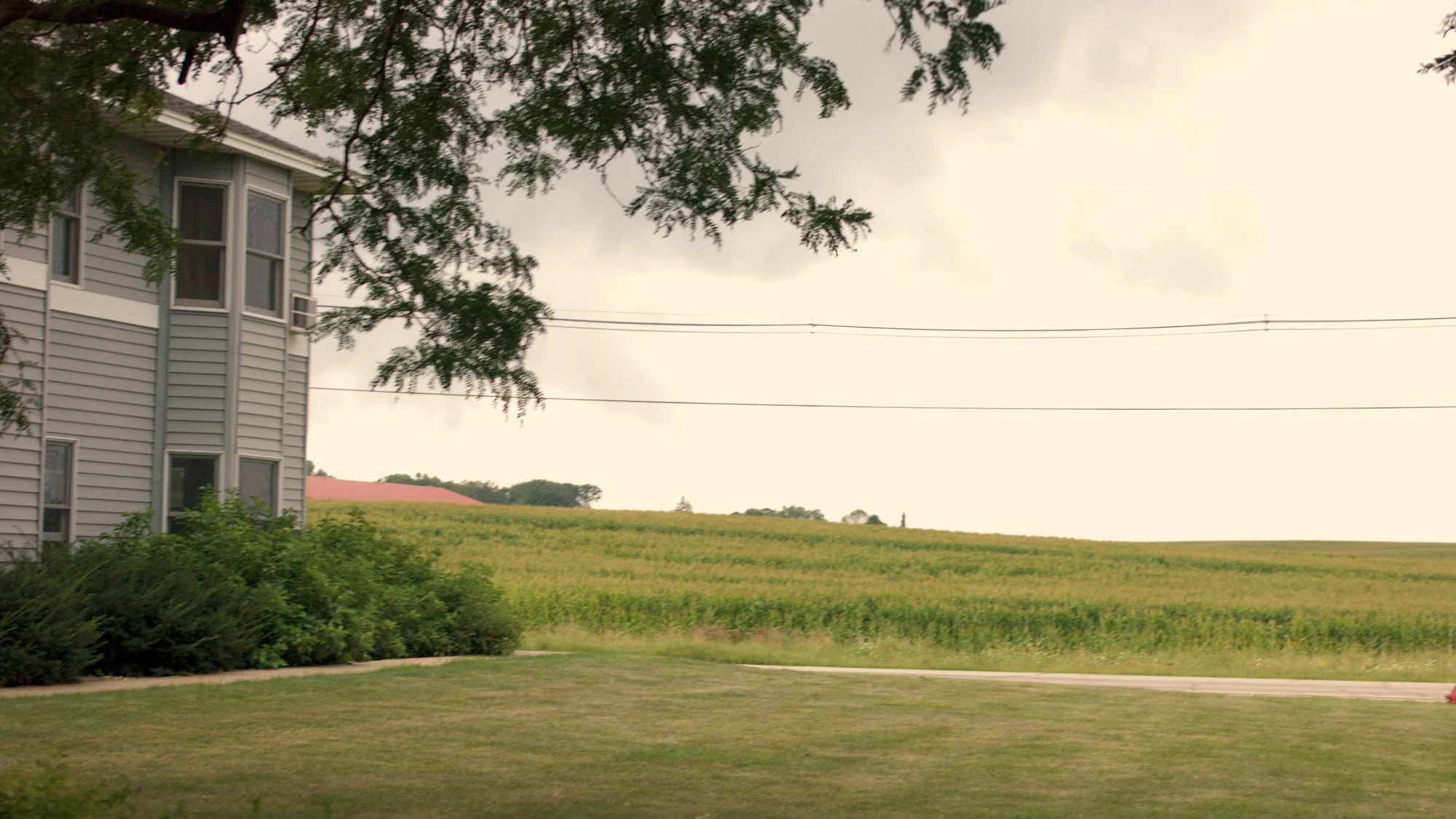 THE GREEN PRAIRIE REHABILITATION CENTER
