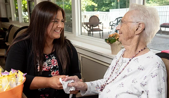 THE HAMLET REHABILITATION AND HEALTHCARE CENTER AT