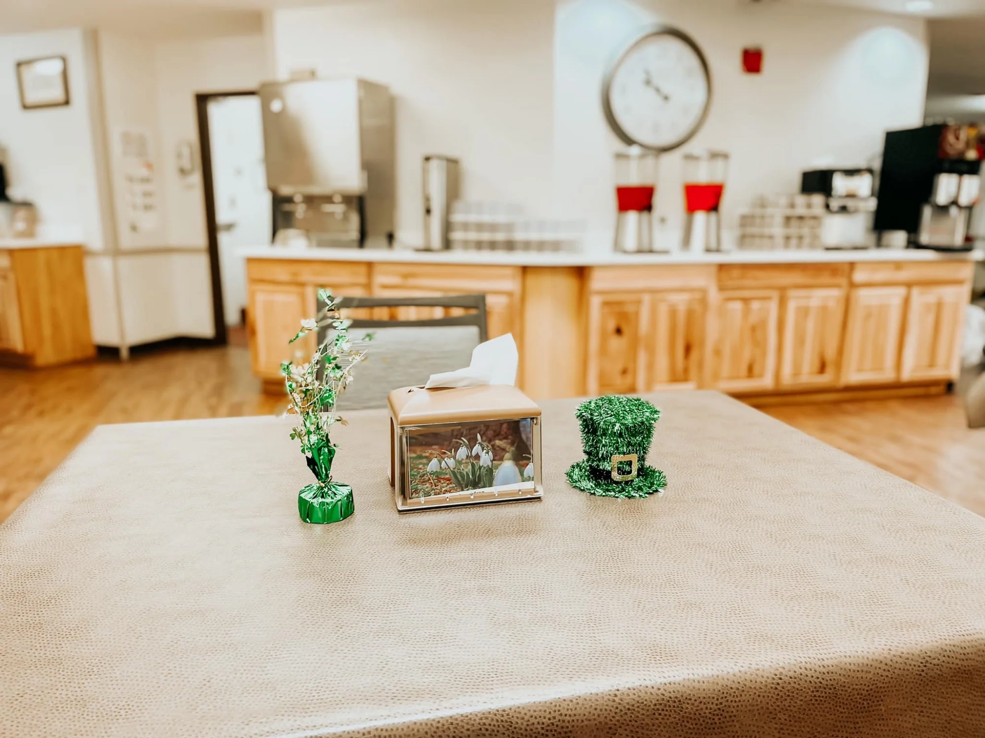 THE HILLS NURSING & REHABILITATION