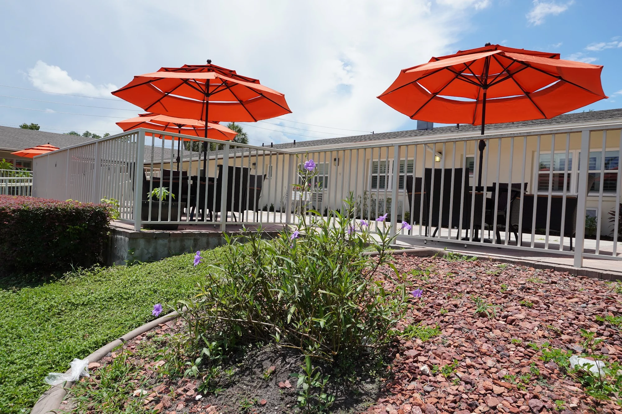 THE LODGE HEALTHCARE AND REHABILITATION CENTER