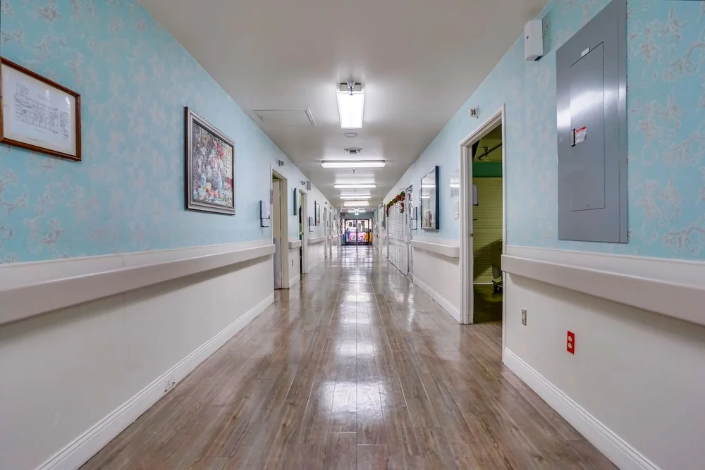 THE MEADOWS POST ACUTE