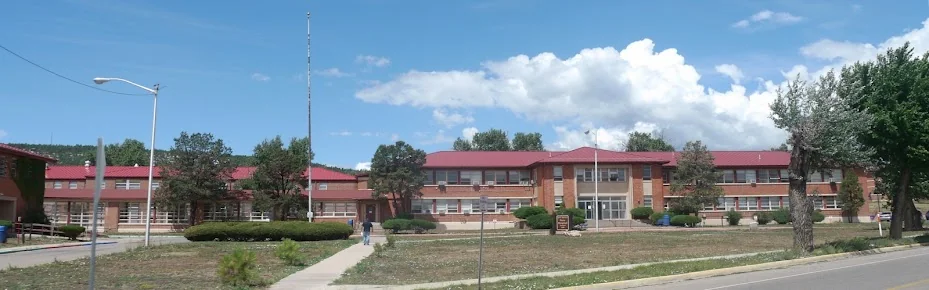 THE NM BEHAVIORAL HEALTH INSTITUTE AT LAS VEGAS