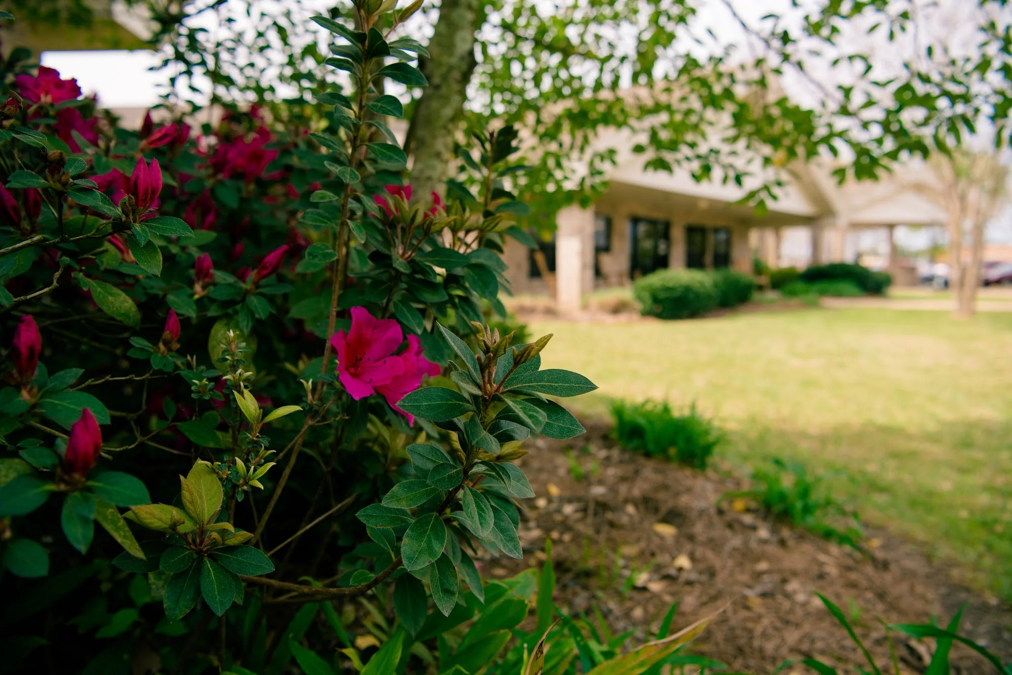 THE OAKS CARE CENTER