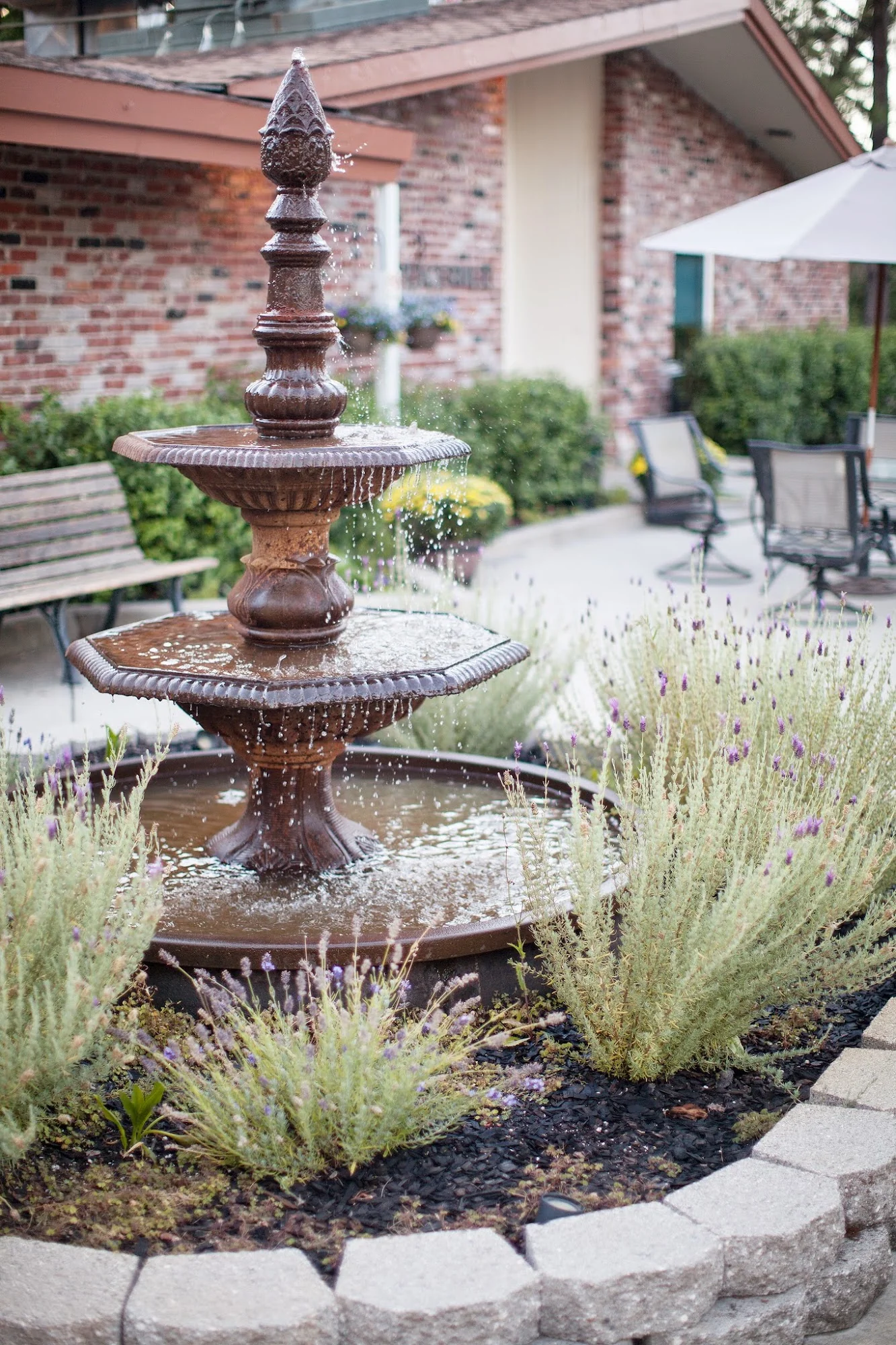 THE PINES AT PLACERVILLE HEALTHCARE CENTER