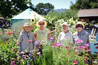 THE REDWOODS, A COMMUNITY OF SENIORS