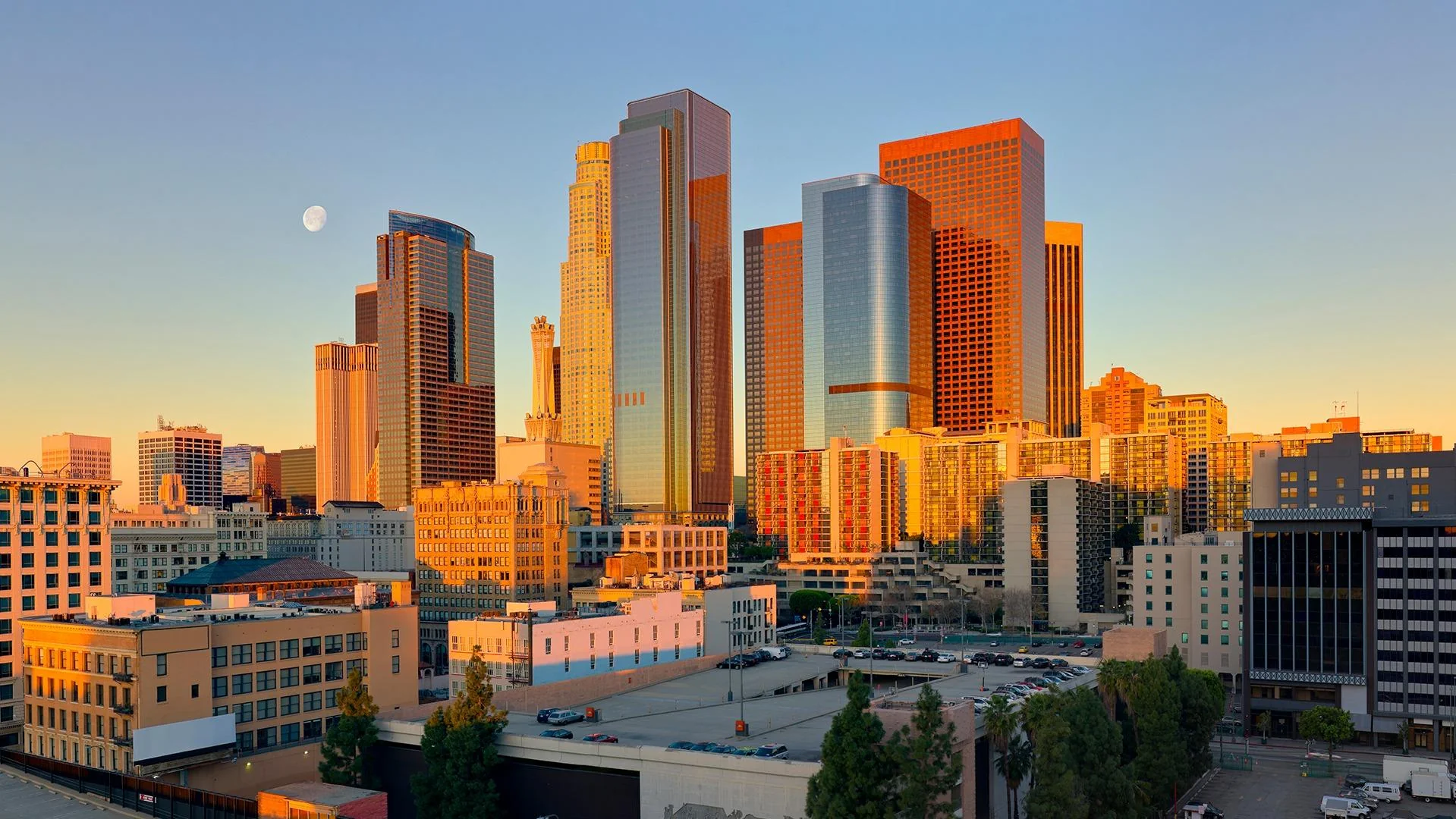 THE REHABILITATION CENTER OF LOS ANGELES