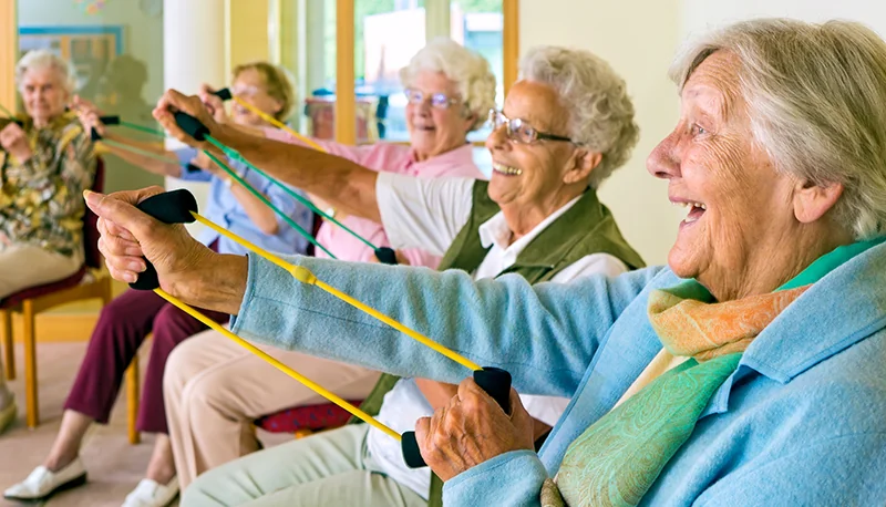 THE REHABILITATION CENTER OF NORTH HILLS