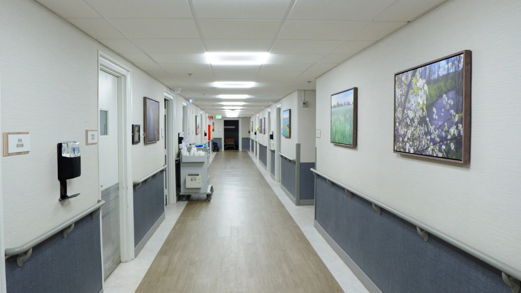 THE SPRINGS AT ROCHESTER HILLS REHAB AND NURSING CENTER