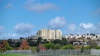 THE TAMALPAIS