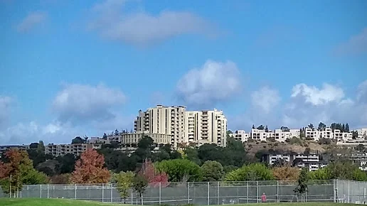 THE TAMALPAIS