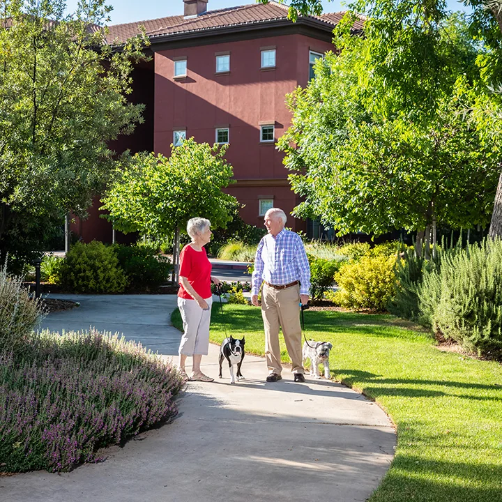 THE TERRACES AT SAN JOAQUIN GARDENS VILLAGE