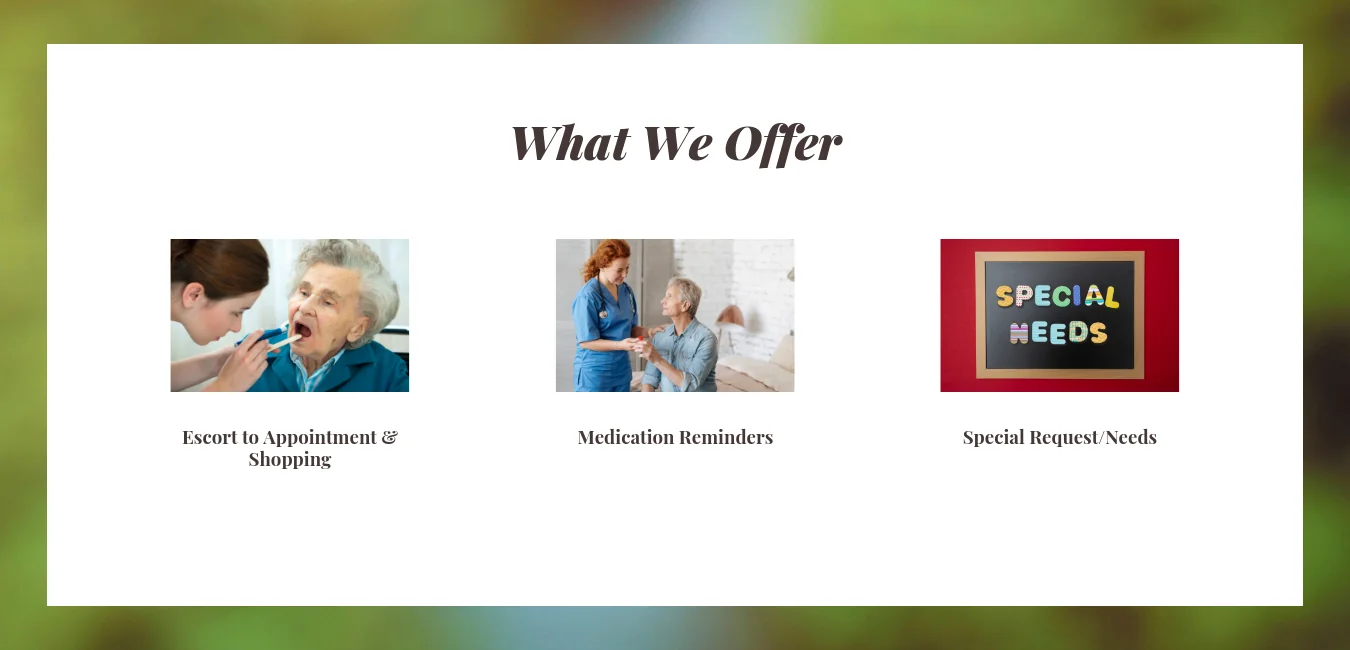 THERACARE SERVICES, LLC