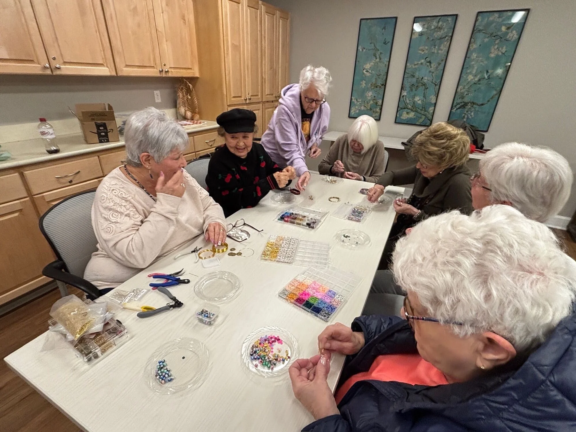 TOUCHMARK AT FAIRWAY VILLAGE HOME HEALTH