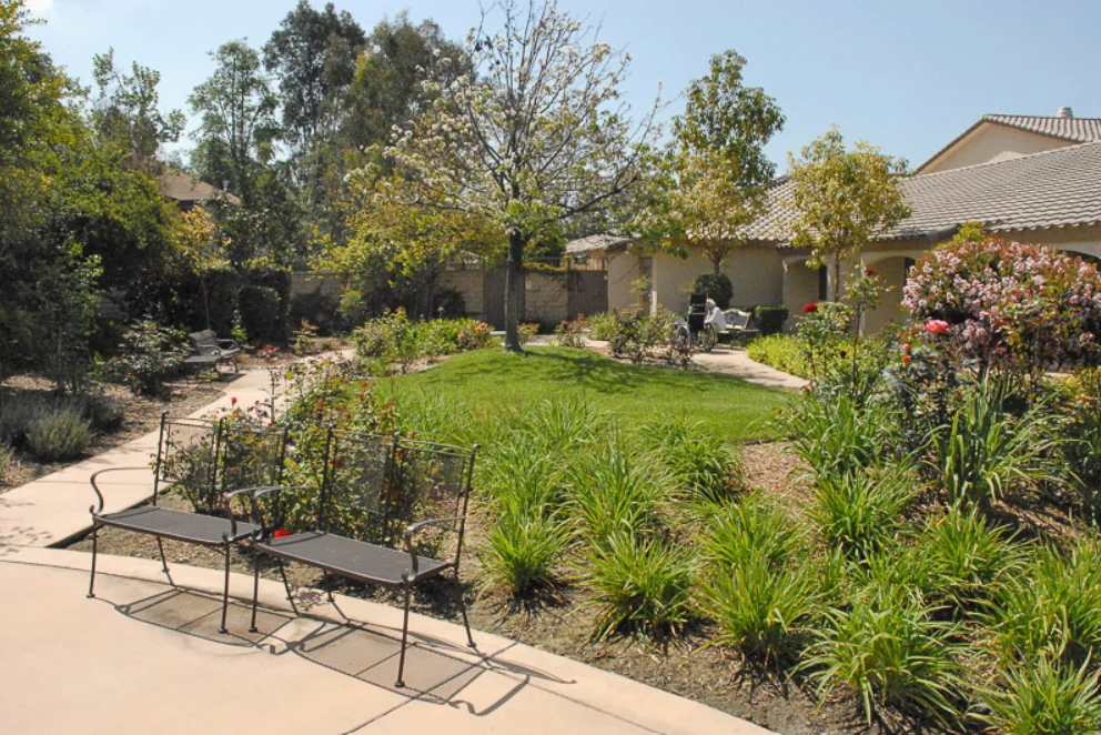 TRABUCO HILLS POST ACUTE