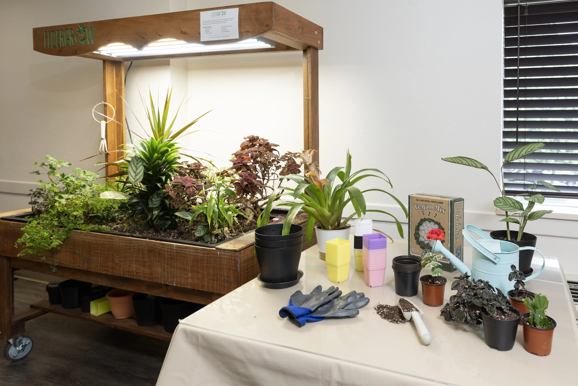 TRANSITIONAL CARE OF SEATTLE