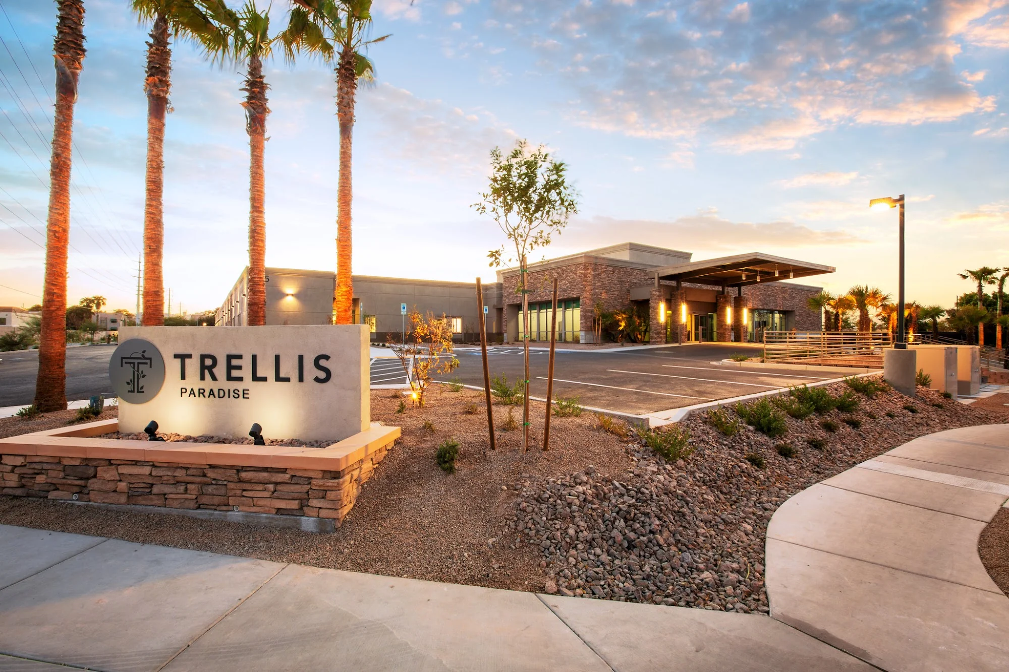 TRELLIS PARADISE