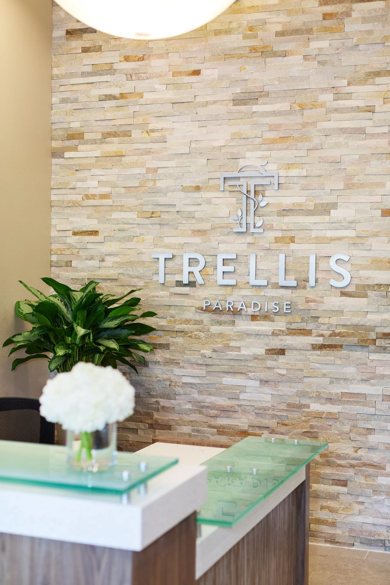 TRELLIS PARADISE