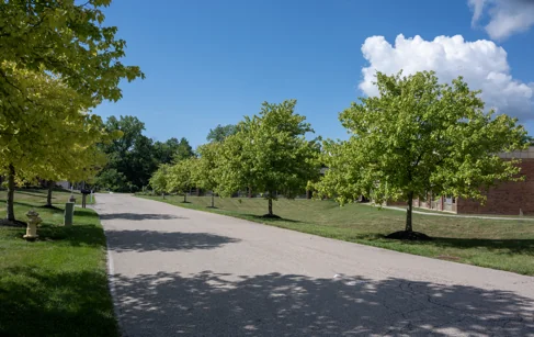 TRINITY COMMUNITY