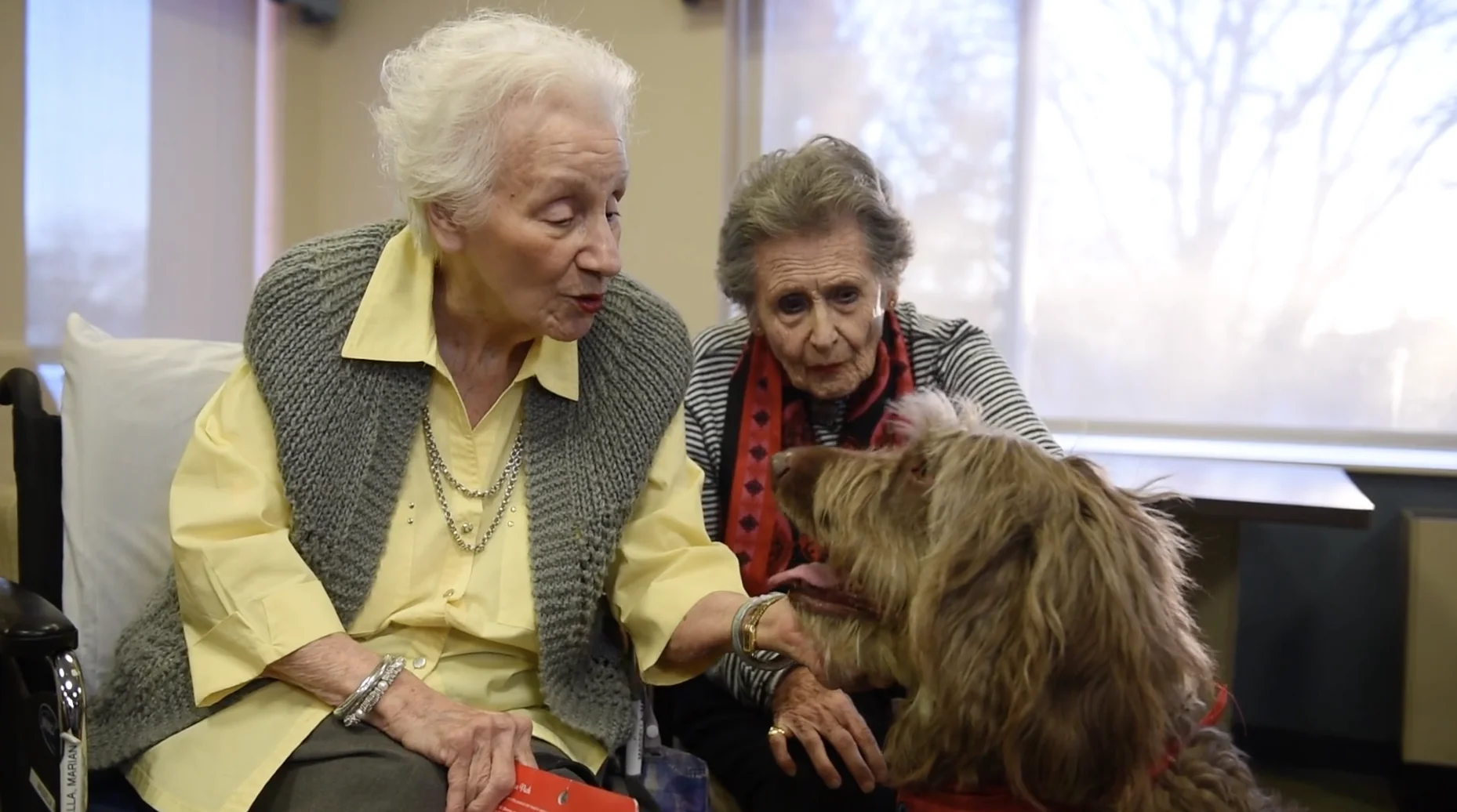 UNITED HEBREW GERIATRIC CENTER
