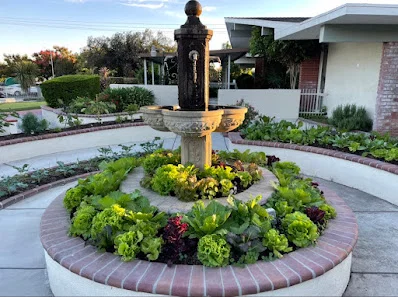 UPLAND REHABILITATION AND CARE CENTER
