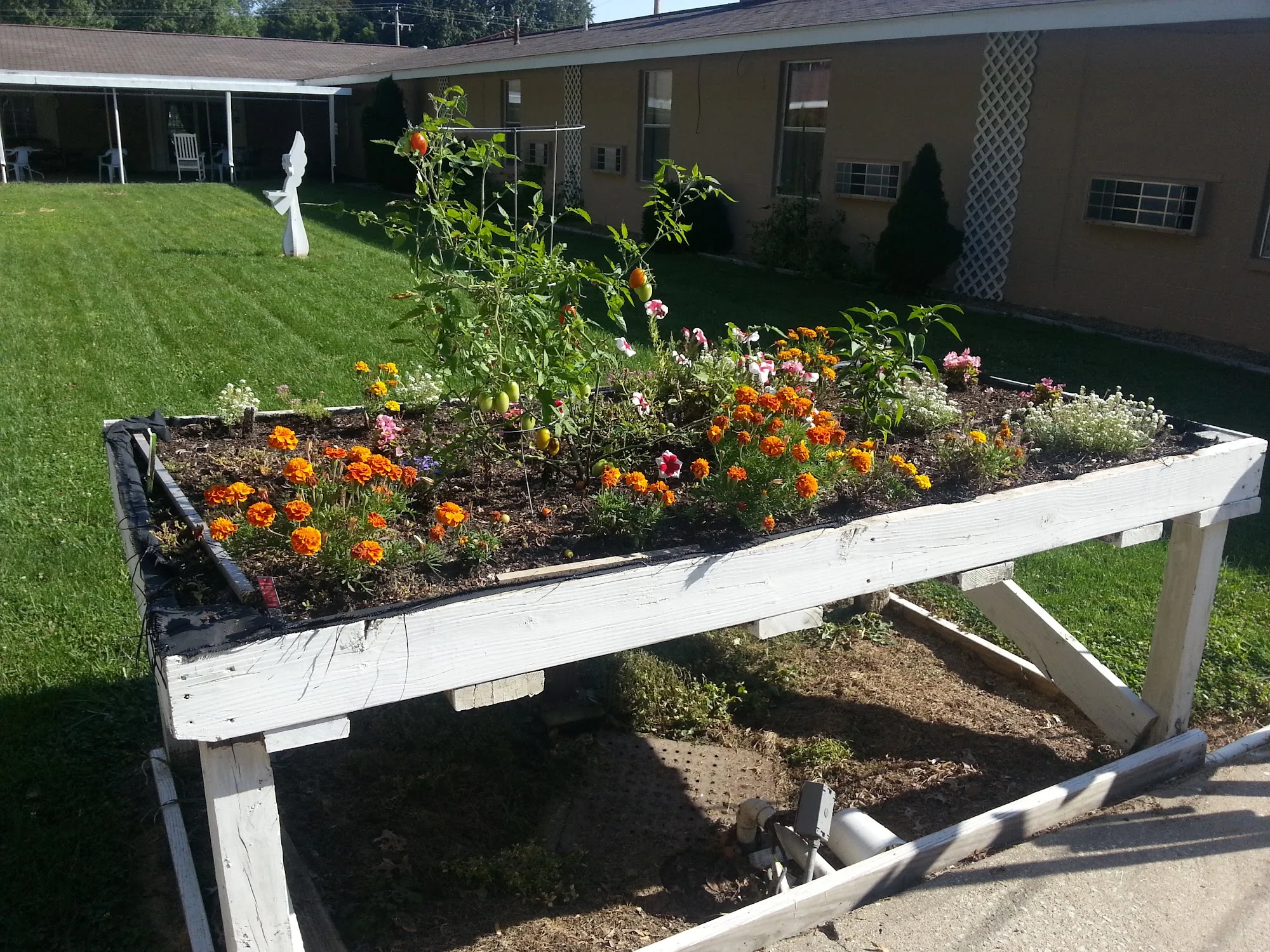 VANDALIA HEALTHCARE & SENIOR LIVING