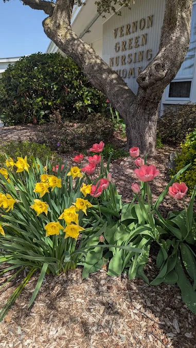 VERNON GREEN NURSING HOME