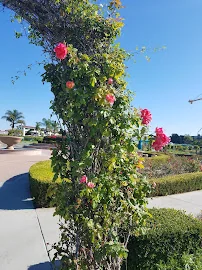 VETERANS HOME OF CALIFORNIA - CHULA VISTA
