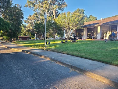 VETERANS HOME OF CALIFORNIA - YOUNTVILLE -  SNF