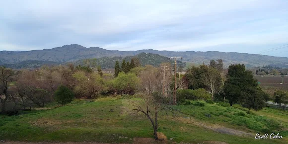 VETERANS HOME OF CALIFORNIA - YOUNTVILLE -  SNF
