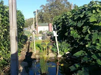VETERANS HOME OF CALIFORNIA - YOUNTVILLE -  SNF