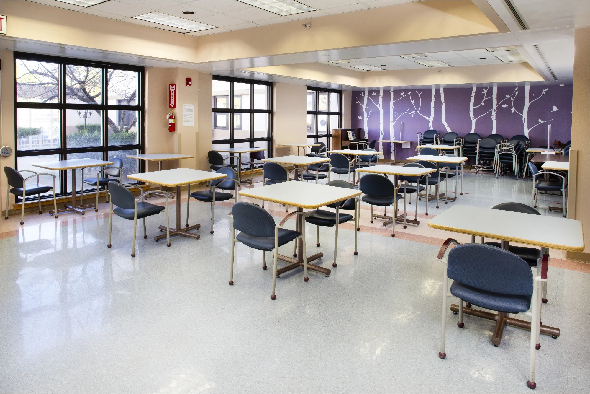 VIBRA HOSPITAL OF NORTHERN CALIFORNIA D/P SNF