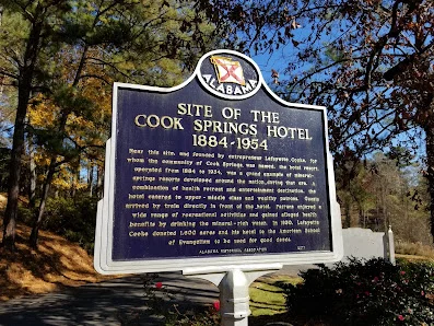 VILLAGE AT COOK SPRINGS SKILLED NURSING FACILITY