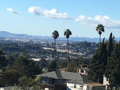 VISTA POST ACUTE
