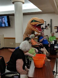 VIVO HEALTHCARE LAKELAND