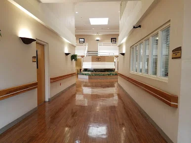 VIVO HEALTHCARE LAKELAND