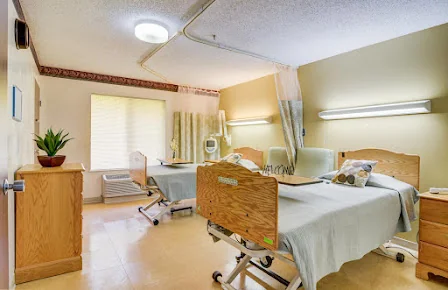VIVO HEALTHCARE ORANGE PARK