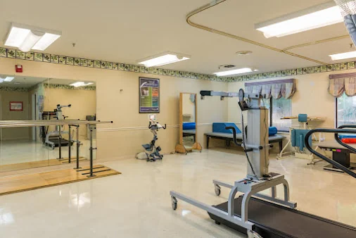 VIVO HEALTHCARE ORANGE PARK