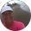 WALKER REHABILITATION CENTER, INC